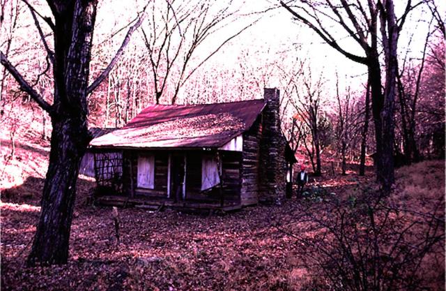 鬼玩人 (1983)劇照 3