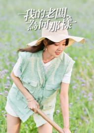 我的老闆為何那樣