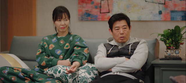 偶然的家族 線上看