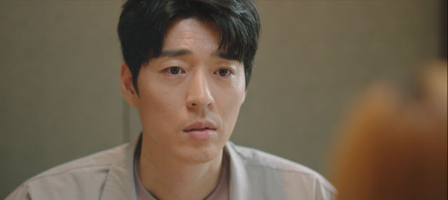 偶然的家族 線上看