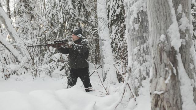神鬼獵熊劇照 4