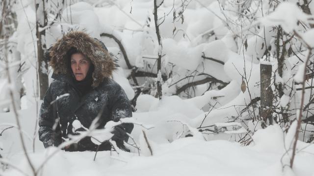 神鬼獵熊劇照 3