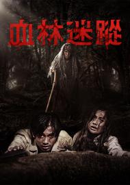 血林迷蹤
