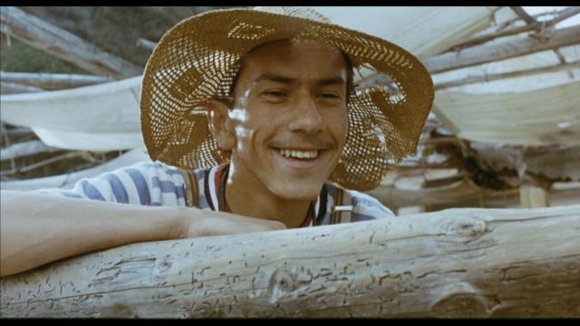 黑貓白貓：數位修復版