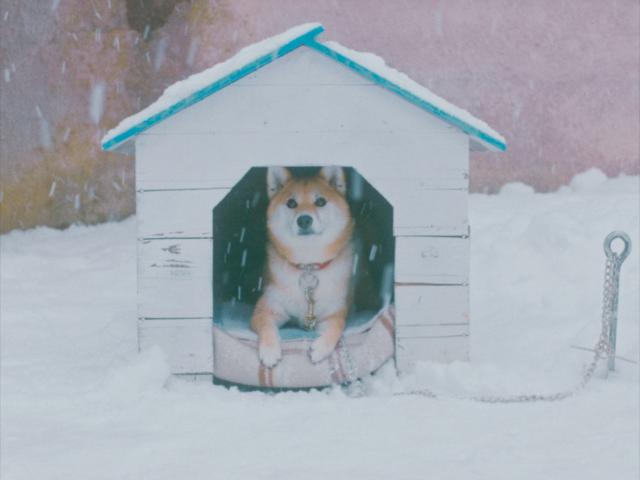 我心裡的太陽劇照 2