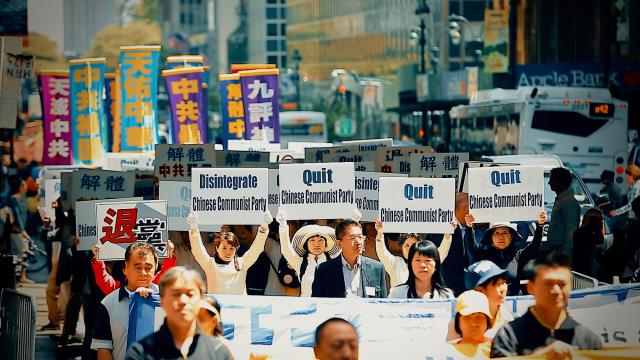 國有器官預告片 01