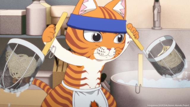 拉麵赤貓 線上看