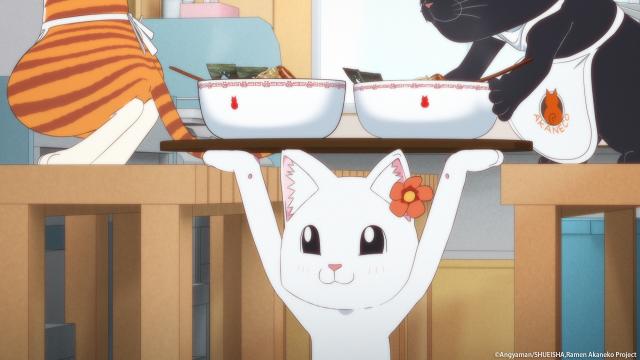 拉麵赤貓 線上看