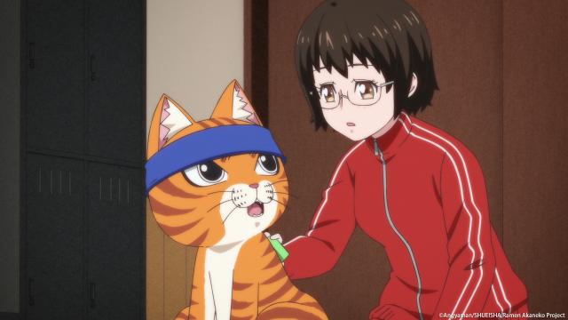 拉麵赤貓 線上看