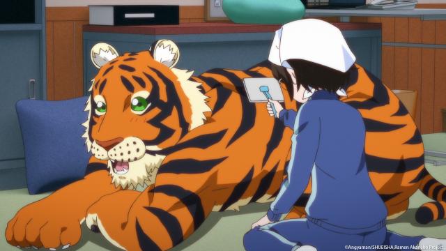 拉麵赤貓 線上看