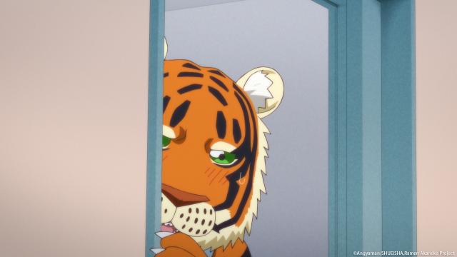 拉麵赤貓 線上看