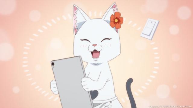 拉麵赤貓 線上看