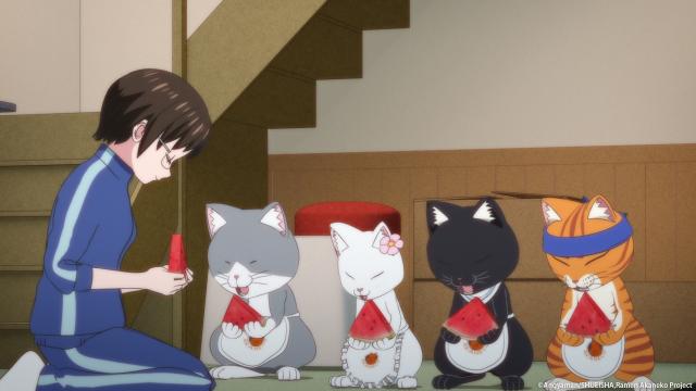 拉麵赤貓 線上看