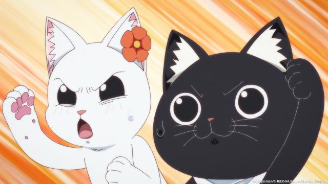 拉麵赤貓 線上看