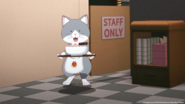 拉麵赤貓 線上看