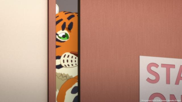 拉麵赤貓 線上看