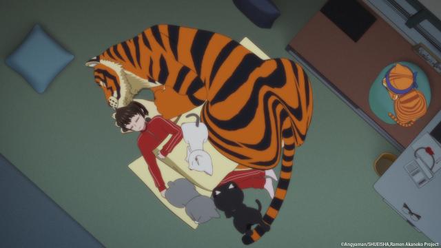 拉麵赤貓 線上看