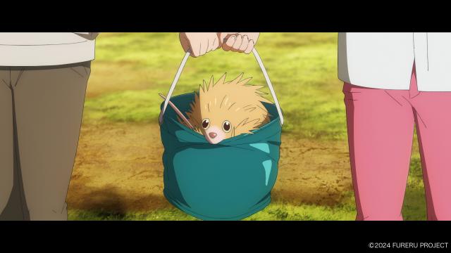 心之觸碰。劇照 4