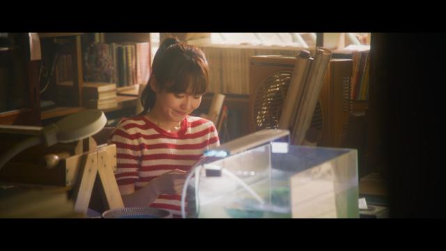 一閃一閃亮星星劇照 3