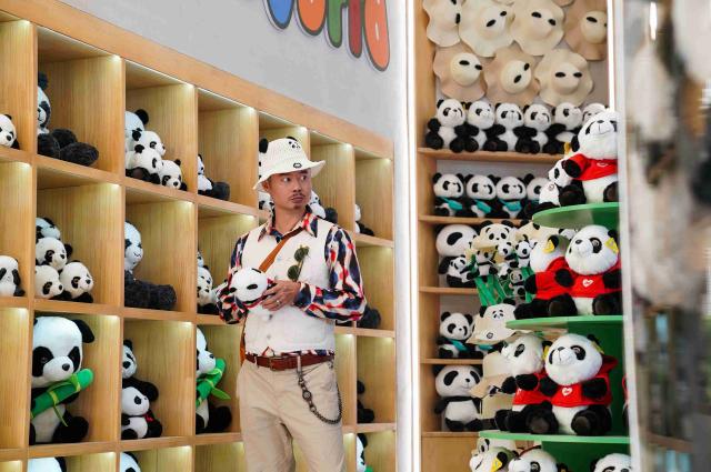 熊貓計劃劇照 13