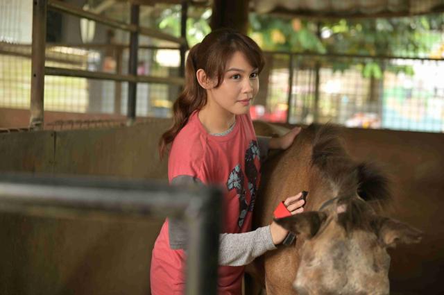 比悲傷更悲傷的故事（印尼版）劇照 6