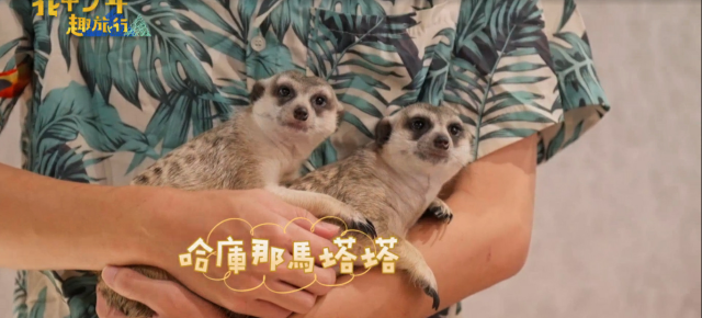 Lulu幫沈文程重拍「心事誰人知」MV！《花甲少年趣旅行3》精華片段 線上看