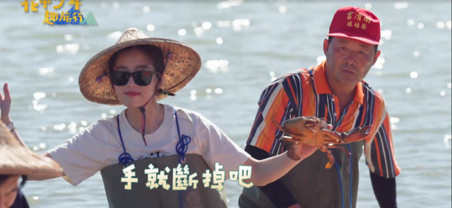 花甲少年趣旅行 第四季 線上看