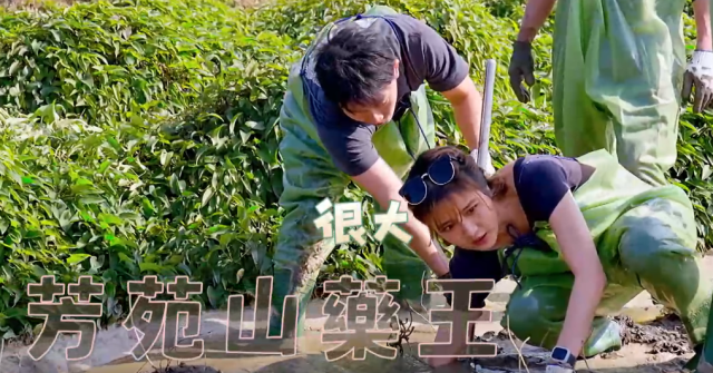 花甲少年趣旅行 第六季 第77集 線上看