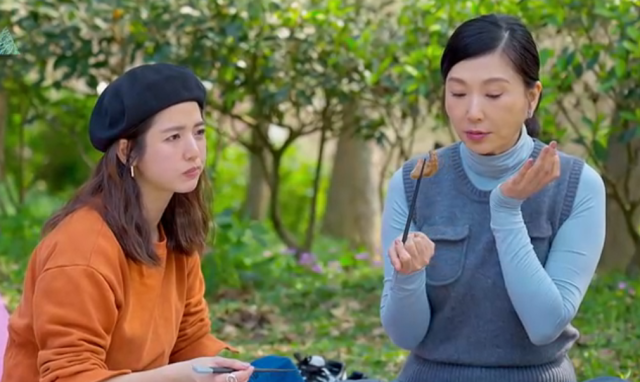 花甲少年趣旅行 第七季 線上看