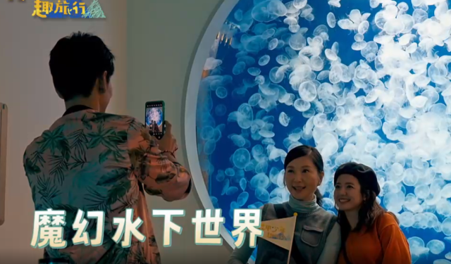 花甲少年趣旅行 第七季 線上看