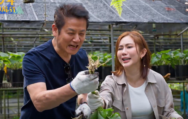 花甲少年趣旅行 第七季 線上看