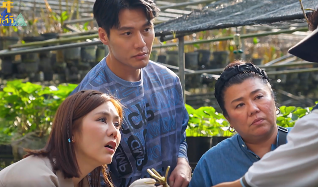 花甲少年趣旅行 第七季 線上看