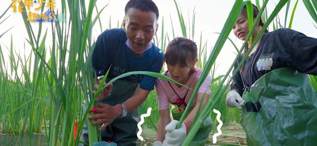 花甲少年趣旅行 第九季 線上看