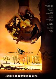空戰神鷹