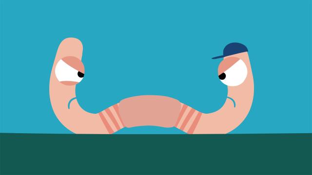 動物哇哈哈 第13集 蚯蚓兄弟愛吵架