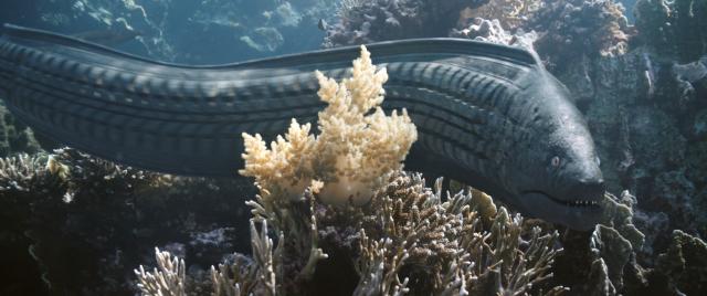 美麗的海底世界劇照 3