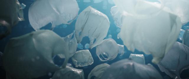 美麗的海底世界劇照 2