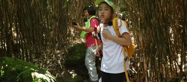 登山總動員 第7集 山林家家酒 線上看