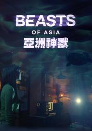 亞洲神獸	