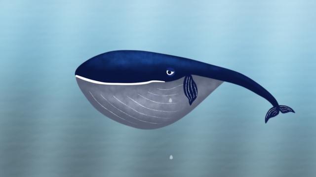 跟我做朋友好嗎?