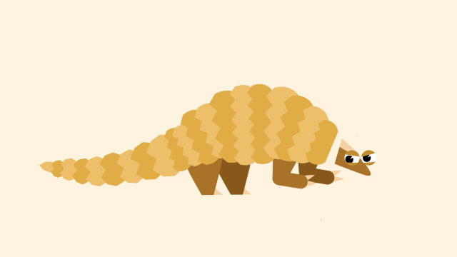 大自然小英雄 第6集