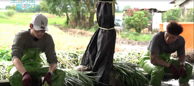 全明星觀察中 第二季 第10集 精華片段 線上看