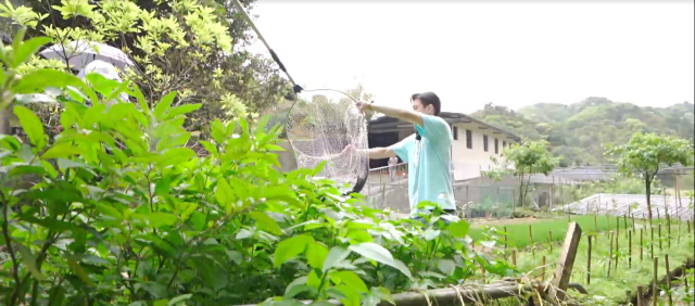 全明星觀察中 第二季 第10集 精華片段 線上看