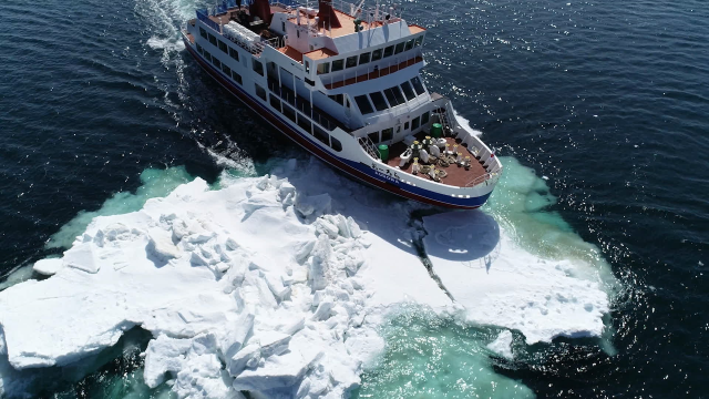 東京流冰～COOL IT DOWN～