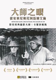 大師之眼—從安東尼奧尼到伍迪艾倫