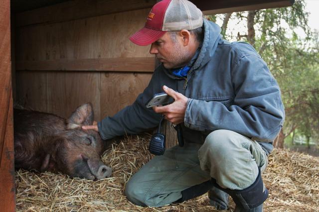 我家有個開心農場劇照 6