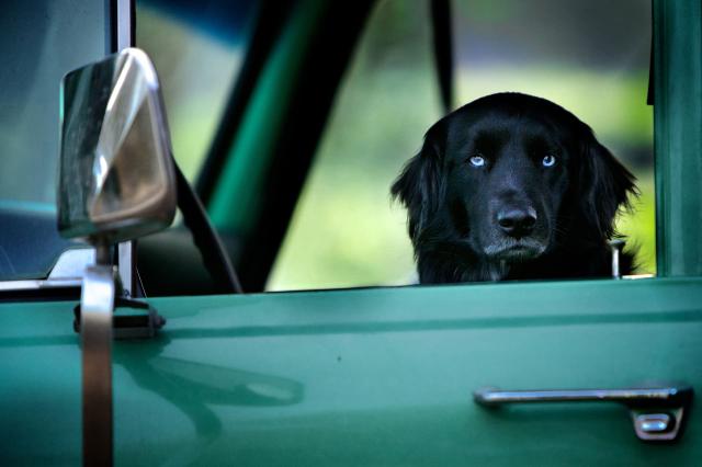 我家有個開心農場劇照 5