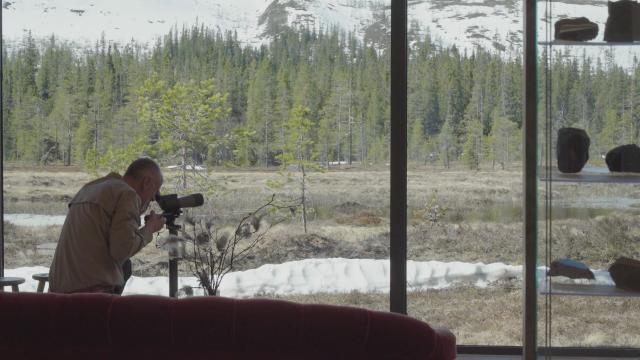 自然就樹美預告片 01