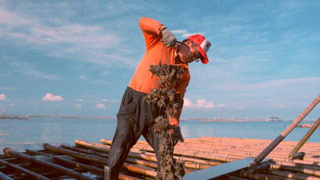 一碗江湖劇照 6