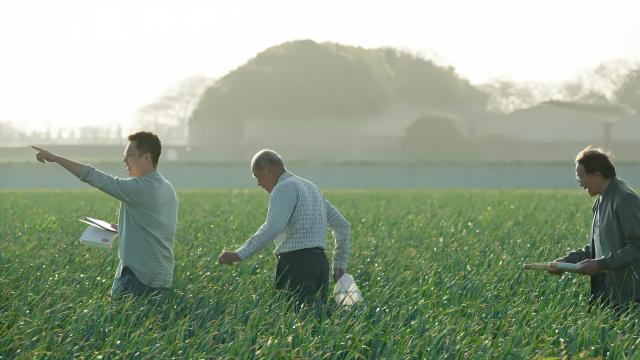 兩岸家書 第2集